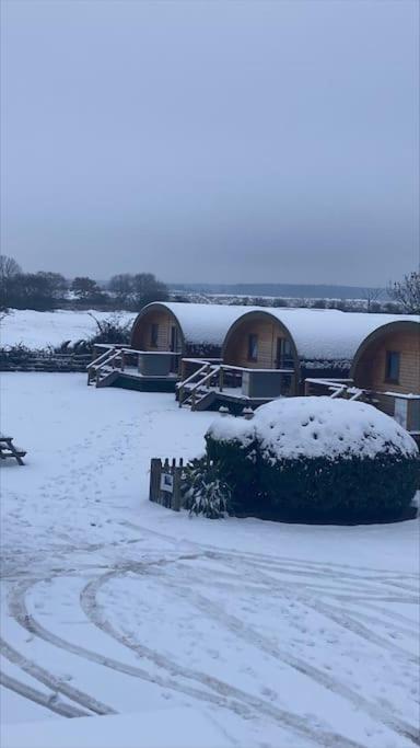 Holiday home Eco-friendly 2 Norton Disney