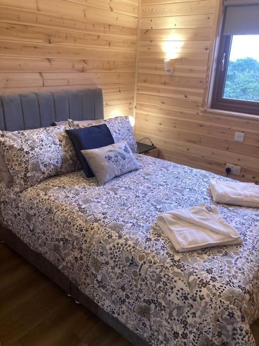 Eco-friendly 2 * Norton Disney
